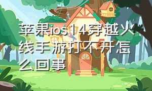 苹果ios14穿越火线手游打不开怎么回事