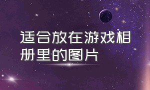 适合放在游戏相册里的图片