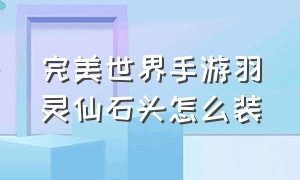 完美世界手游羽灵仙石头怎么装