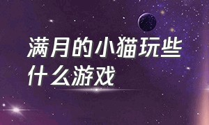 满月的小猫玩些什么游戏