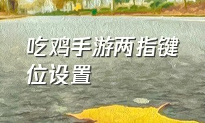 吃鸡手游两指键位设置