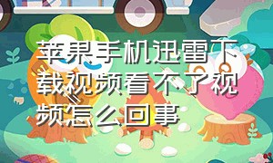 苹果手机迅雷下载视频看不了视频怎么回事