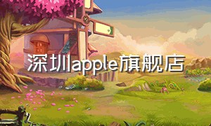 深圳apple旗舰店（apple官方旗舰店深圳店）