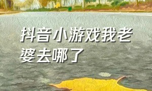 抖音小游戏我老婆去哪了