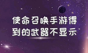 使命召唤手游得到的武器不显示