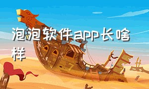 泡泡软件app长啥样