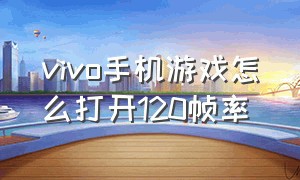 vivo手机游戏怎么打开120帧率