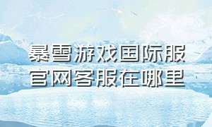 暴雪游戏国际服官网客服在哪里