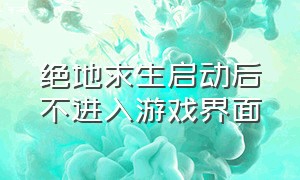 绝地求生启动后不进入游戏界面