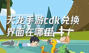 天龙手游cdk兑换界面在哪里