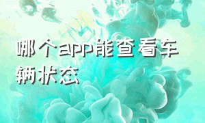 哪个app能查看车辆状态