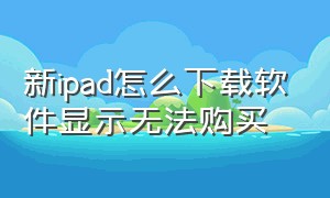新ipad怎么下载软件显示无法购买（ipad显示已购买软件但是下载不了）