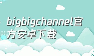 bigbigchannel官方安卓下载（big big channel 安卓下载）