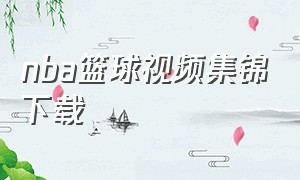 nba篮球视频集锦下载
