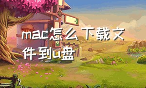 mac怎么下载文件到u盘