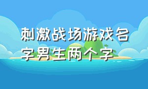 刺激战场游戏名字男生两个字