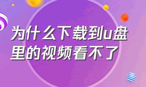 为什么下载到u盘里的视频看不了