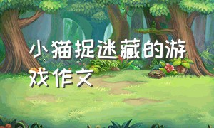 小猫捉迷藏的游戏作文