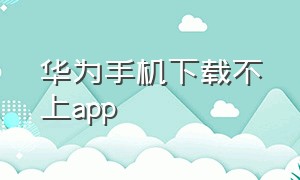 华为手机下载不上app