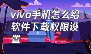 vivo手机怎么给软件下载权限设置（vivo手机怎么设置安装软件的权限）