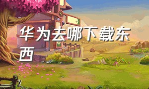 华为去哪下载东西（华为在哪下载软件）