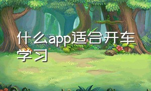 什么app适合开车学习（练习开车app哪个软件好用）