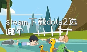 steam下载dota2选哪个（dota2在官网还是steam下载）