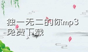 独一无二的你mp3免费下载