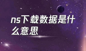 ns下载数据是什么意思