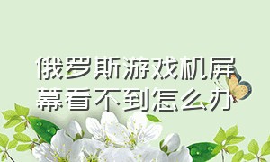 俄罗斯游戏机屏幕看不到怎么办（俄罗斯游戏机怎么变模式）