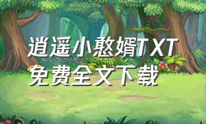 逍遥小憨婿TXT免费全文下载