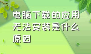 电脑下载的应用无法安装是什么原因