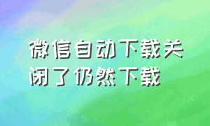 微信自动下载关闭了仍然下载