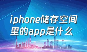 iphone储存空间里的app是什么（苹果手机储存空间里的应用是什么）