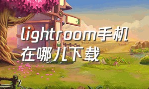 lightroom手机在哪儿下载（lightroom手机版下载入口）