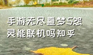 手游无尽噩梦5怨灵能联机吗知乎