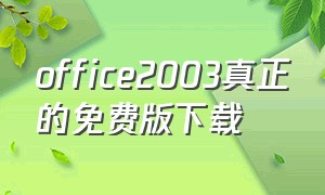 office2003真正的免费版下载