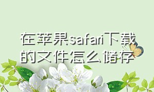 在苹果safari下载的文件怎么储存