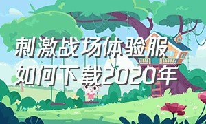 刺激战场体验服如何下载2020年（刺激战场体验服）