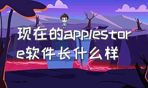 现在的applestore软件长什么样