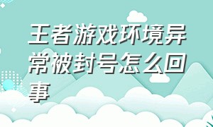 王者游戏环境异常被封号怎么回事