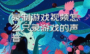 录制游戏视频怎么只录游戏的声音