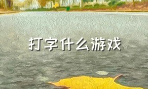 打字什么游戏