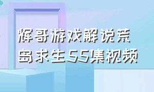 辉哥游戏解说荒岛求生55集视频