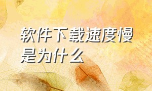 软件下载速度慢是为什么