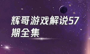 辉哥游戏解说57期全集（辉哥游戏解说第100期视频）