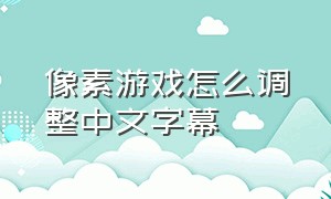 像素游戏怎么调整中文字幕