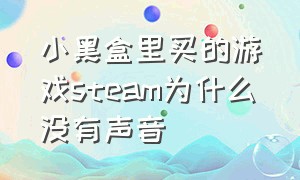 小黑盒里买的游戏steam为什么没有声音（steam小黑盒为什么便宜）