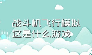 战斗机飞行模拟这是什么游戏