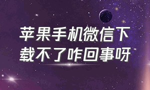 苹果手机微信下载不了咋回事呀（苹果手机下载不了微信解决办法）